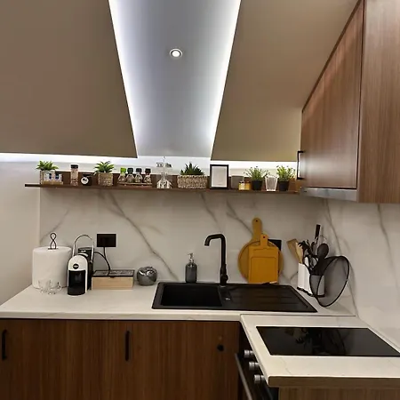 Center Blloku Modern Loft 02 アパート ティラナ